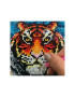 Diamantové plátno Tiger Sentosphere