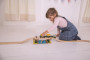 Most Safari Bigjigs Rail
