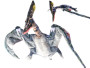 Pterosaurus plyšový 66 cm, 0 m+