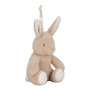 Zaspávačik zajačik Newborn Naturals Little Dutch