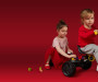 Trojkolka Ant plus, vek 2 - 6 rokov Qplay