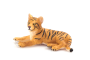 Mojo Tiger bengálsky mláďa ležiaci