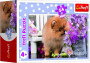 Minipuzzle zvieratká - mláďatá 4 druhy, 54 dielikov