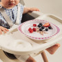 Tanier s prísavkou Woodland Canpol babies