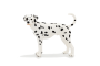 Mojo Dalmatín