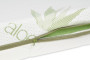 Matrac Flora 120 x 60 x 10 cm Babymatex