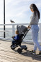 Trojkolka Cosy Grey, vek 10 - 72 mesiacov Qplay