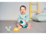 Pyramída Hunny Bunny Taf Toys