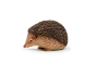 Mojo Ježko