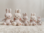 Zajačik Miffy textilné Lucky Blossom 20 cm Little Dutch