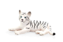 Mojo Tiger biely mláďa ležiace