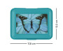 Box na desiatu Butterfly Baagl