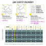 Tehotenská a dojčiaca podprsenka Keep Cool™ Biela Medela