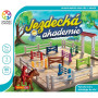 SMART- Jazdecká akadémia