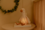 Zaspávač hus Newborn Naturals Little Dutch