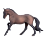 Mojo Hanoveriansky kôň