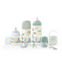 Súprava fľaša 270 ml + cumlík fyziologický 0 - 6 m + klip Dreams Suavinex