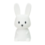Rabbit set Blue (lampička + sonická zubná kefka)