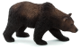 Mojo Medveď grizzly