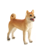 Mojo Pes Shiba Inu