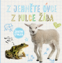 Z jahnite ovce, z žubrienky žaba - Životný cyklus